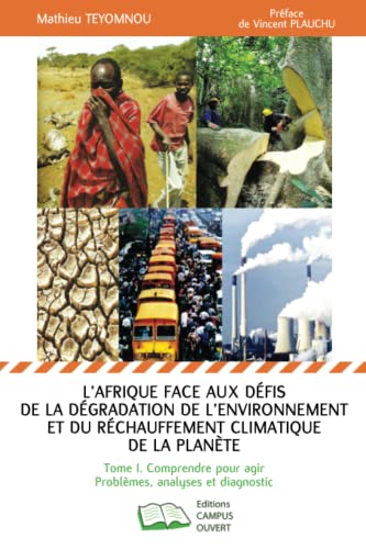 L'Afrique face aux défis de la dégradation de l'environnement et